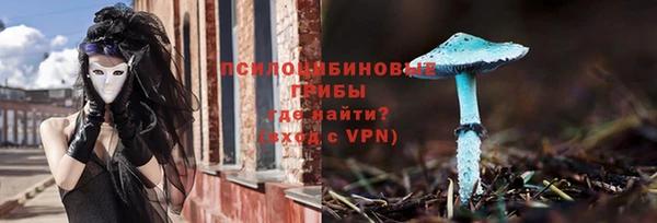 сатива Арсеньев