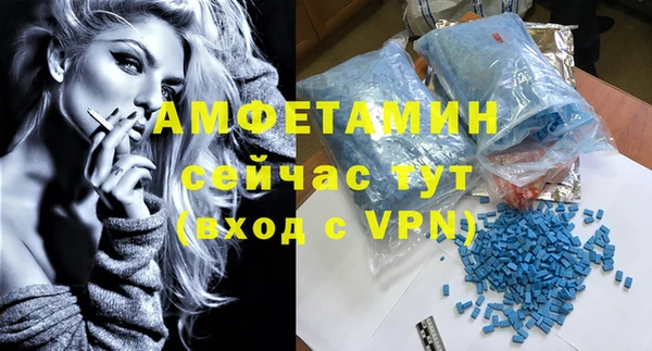 сатива Арсеньев