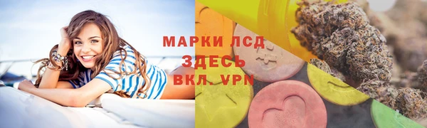 сатива Арсеньев