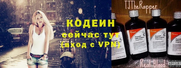 сатива Арсеньев