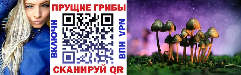 Галлюциногенные грибы ЛСД Бахчисарай